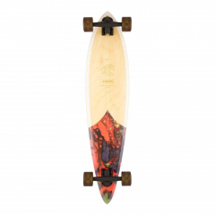Arbor Performance Groundswell Fish multi 37 Komplett Longboard