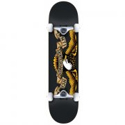 Anti Hero Classic Eagle #2 8.25 Komplettboard